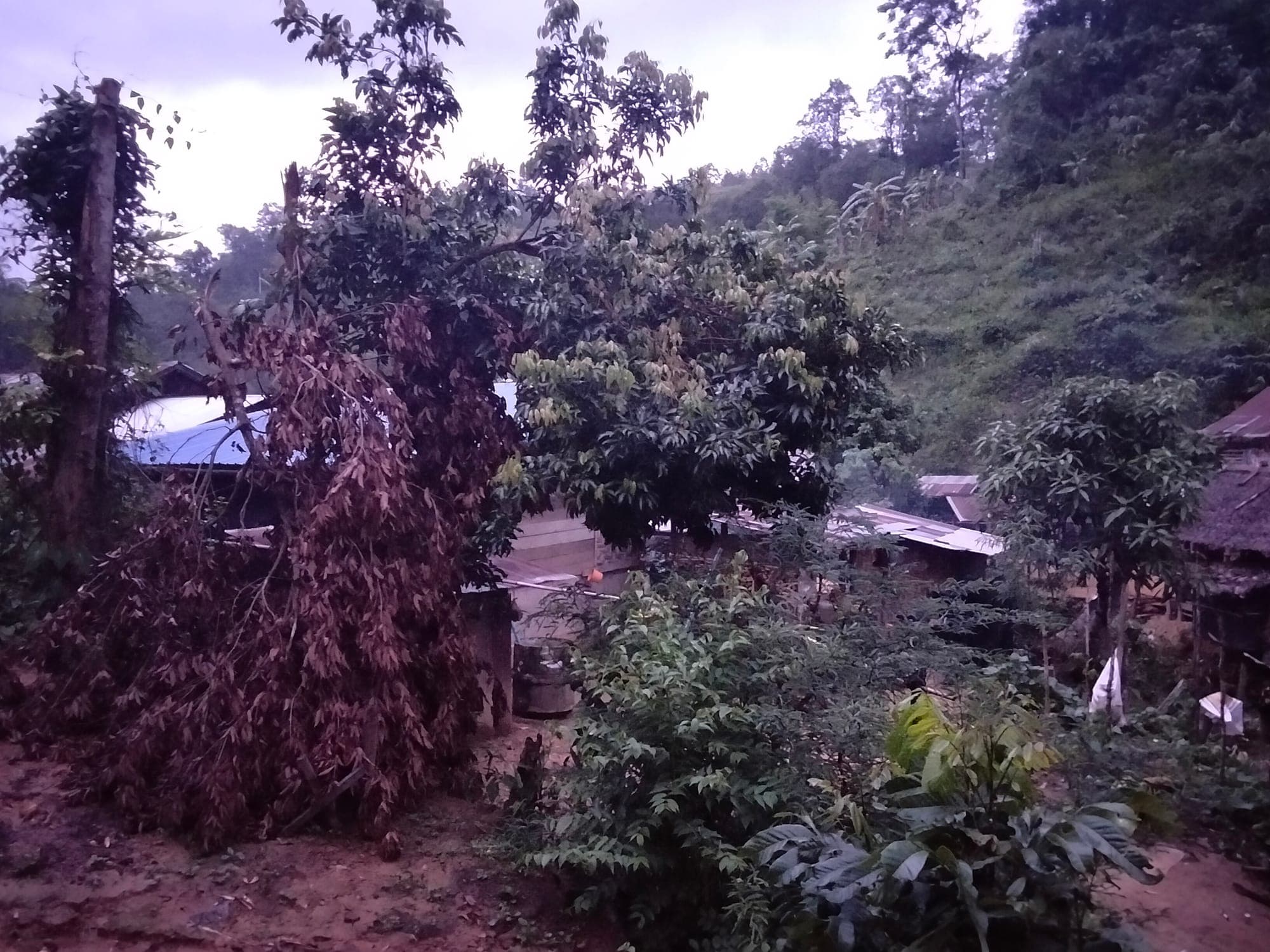 Tin and bamboo rooftops of the village nestled among the trees as dusk settles over the hills.